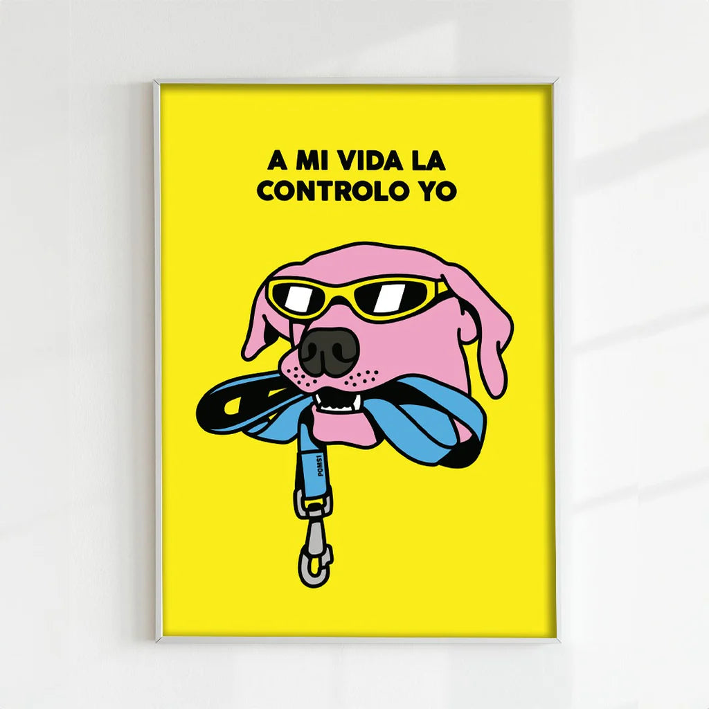 CUADRO A MI VIDA LA CONTROLO YO