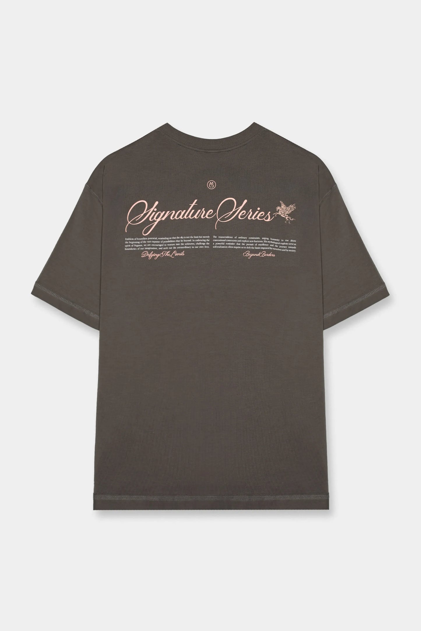 Camiseta Oversize Gris Texto