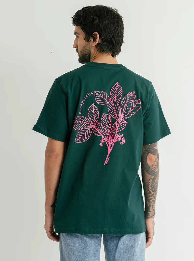 CAMISETA ARBOL ETERNO