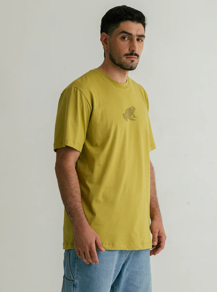 CAMISETA RANITA NOCTURNA