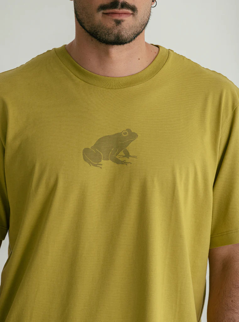 CAMISETA RANITA NOCTURNA