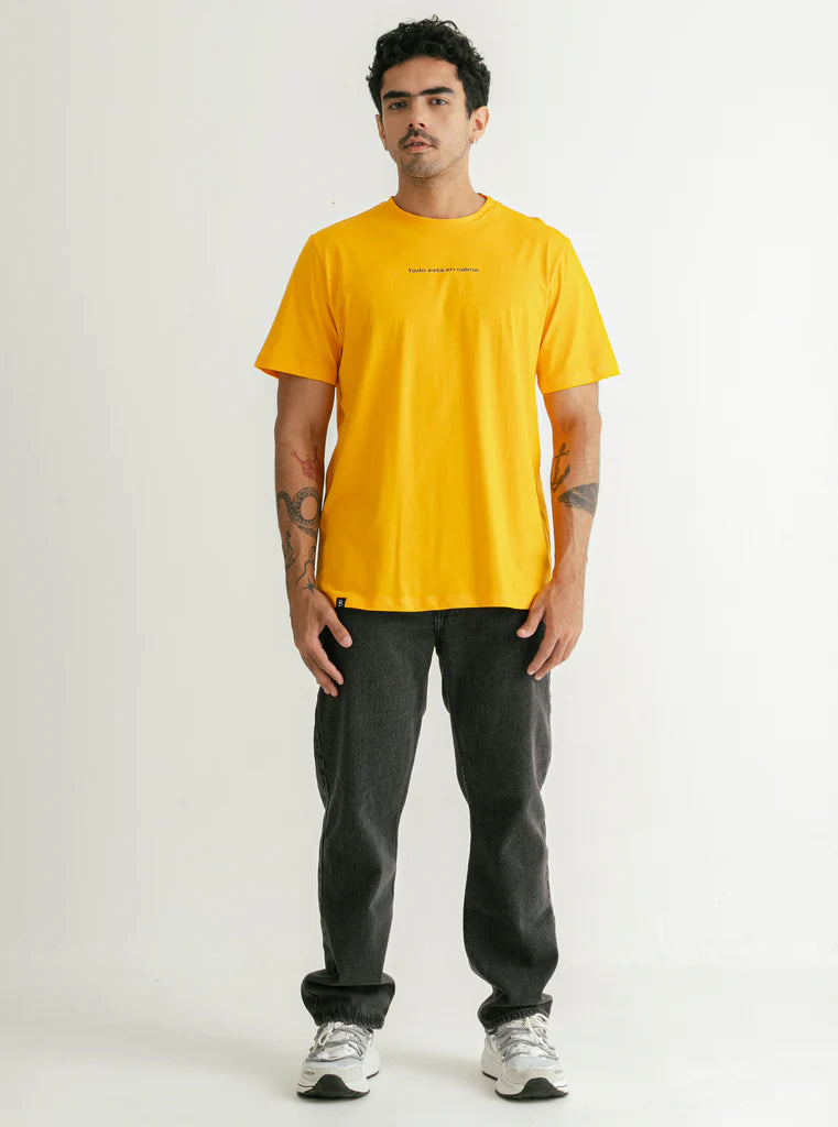 CAMISETA TODO ESTA EN CALMA